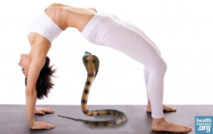 Menu Get health insurance quotes