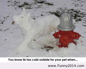 Funny Quotes Cold Weather Image Search Results