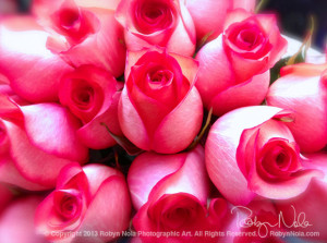 Beautiful Roses-Robyn Nola