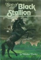 The Black Stallion Book