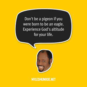 Don’t be a pigeon if you were born to be an eagle. Experience God ...