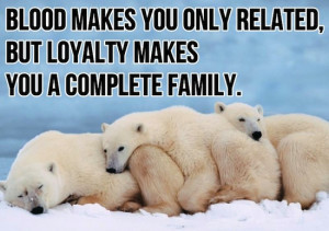 Complete Family quotes about family