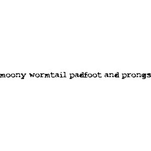 moony wormtail padfoot and prongs