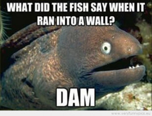 Funny One liners (8 pictures)