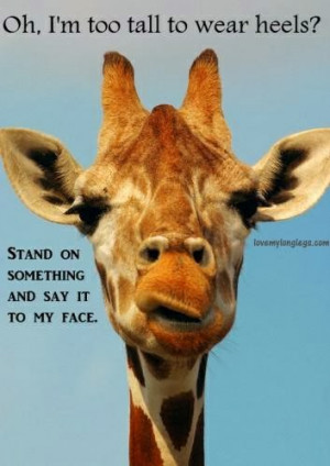 Tall girl problems!! Life as a 6ft 1 girl