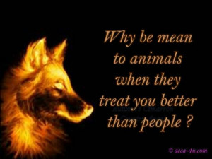 animals treat you better than people