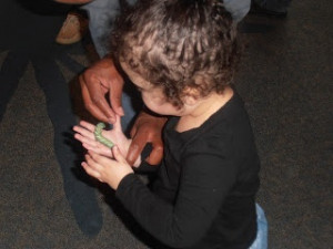 big mamas hula girl gallery florida