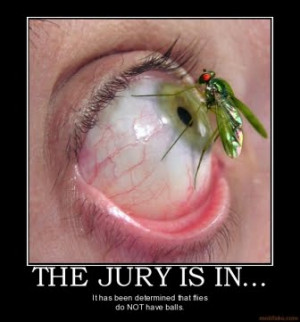 demotivational funny pictures funny videos flash games