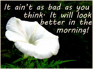 The good morning quotes used for the above pictures: