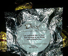 dove,inspirational