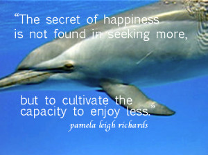 dolphin sayings
