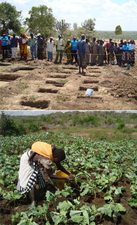 Helvetas Rural Livelihood Development Programme Tanzania