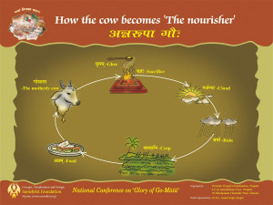 Agnihotra - Solution to many problems...