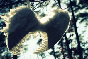 You’re Not An Angel Cause Your My Wings