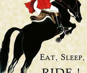 Horsey Quotes | via Tumblr