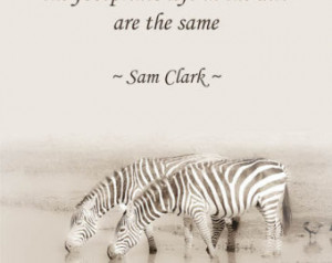 Zebra Photograph Quote, Wall Art, I nspired Quote, African Wildlife ...