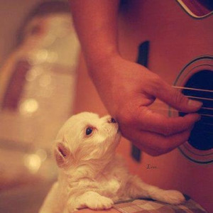 don't bite the hand that feeds you. Kiss it.