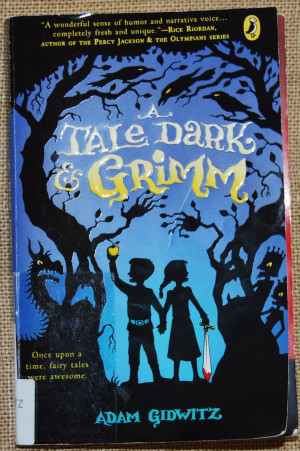 Chapter Books Based on the Grimm Fairytales