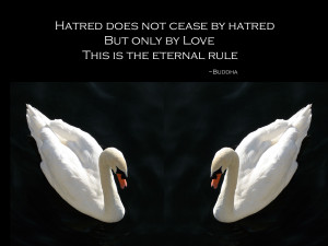 life quotes wallpapers