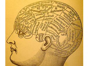 ... -finds-that-genes-may-account-for-only-50-of-human-intelligence.jpg