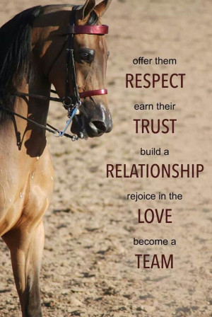 Respect Trust Relationship and Love