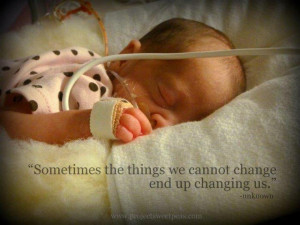 Quotes For Premature Babies