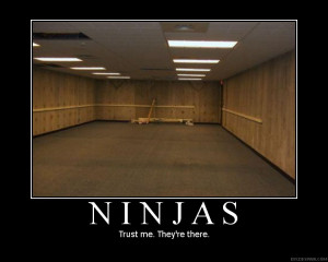 Ninja Motivational Posters