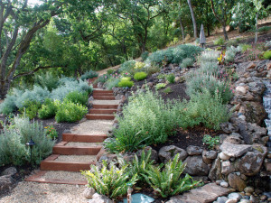 California Drought Tolerant Landscaping Ideas