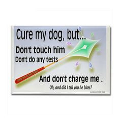 Cure My Dog Rectangle Magnet on