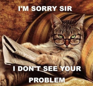 sorry sir - I don't see your problem