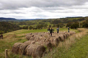 Farm Leura countryside Blue Mountains