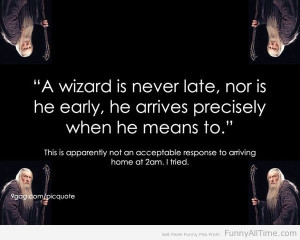 Funny Quotes about wizard