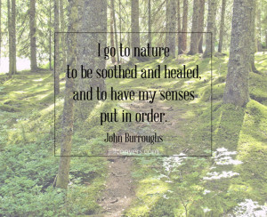 Trail running is just… different. I love road and trail running but ...