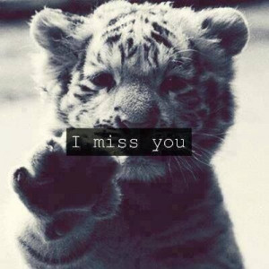 miss you / Tumblr / We Heart It