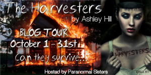 ... about that then go here, Wasted Money and Unprofessionalism Sucks