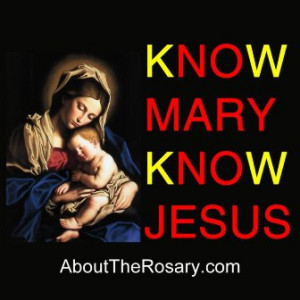 DO YOU HAVE A BLOG? COME SHARE YOUR LOVE FOR MOTHER MARY!: