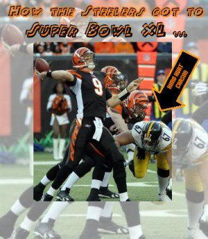 Stupid Steelers Image