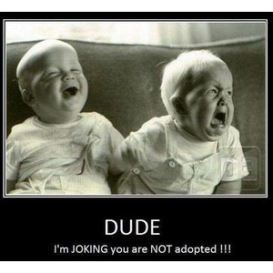 Twin Brother Trolling At Its Finest | Funny Pictures | Best Quotes ...