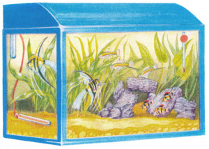 Funny Quotes Contact Us DMCA Notice