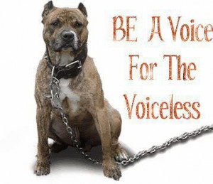 Voice for the Voiceless. That's my goal.