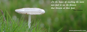 ... quotes facebook cover image mushroom and grass with motivational quote