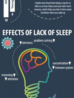Importance Of Sleep During Exams Infographic