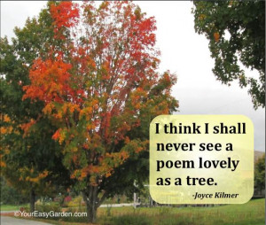 nature quotes gardening quotes carpet tree farm natur quot