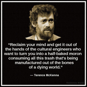 Tags: terence mckenna , quotes