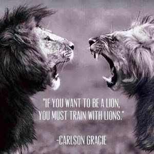 IF YOU WANT TO BE A LION, YOU MUST TRAIN WITH LIONS