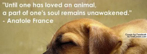 ... On Animal, A Part Of One’s Soul Remains Unawakened - Animal Quots