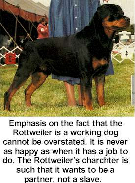 Rottweiler Dog Quotes
