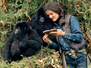 Photo of Dian Fossey in the field with gorillas