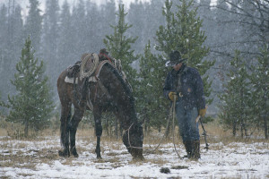 Snow Falls On A Cowboy And His Horse Photograph