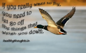 If You Really Want To Fly